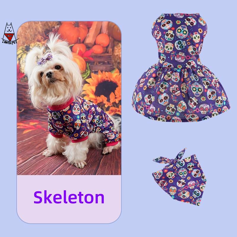Halloween Skull Set